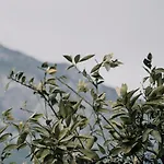 Baleze Boutique - Adults Only Hotel Akyaka (Mugla)