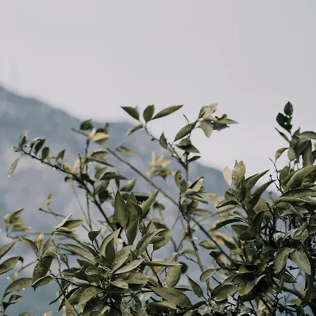 Baleze Boutique - Adults Only Hotel Akyaka (Mugla)