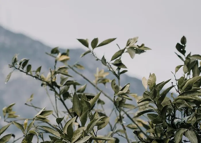 Baleze Boutique - Adults Only Otel Akyaka (Mugla)