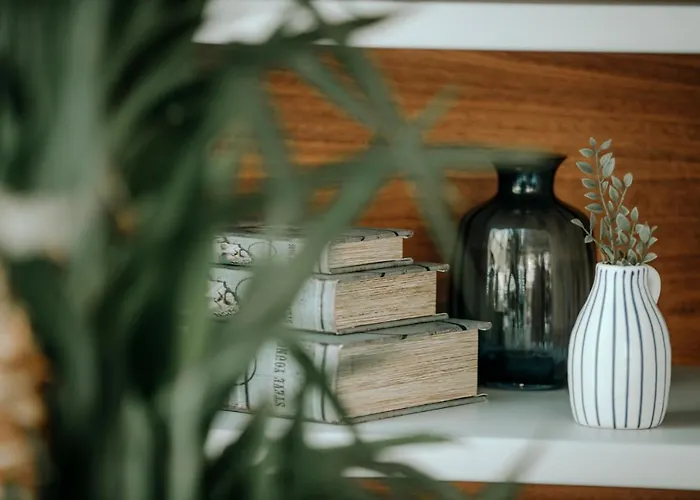 Baleze Boutique - Adults Only * アクヤカ